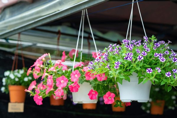 Que prendre en compte pour choisir des pots de fleurs ?