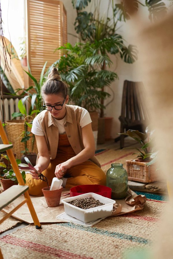L'impact des plantes artificielles sur la décoration d'intérieur contemporaine
