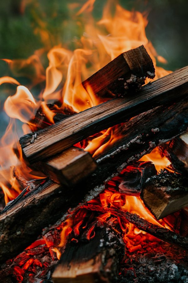 Pourquoi le chauffage au bois est une option écologique pour sa maison ?