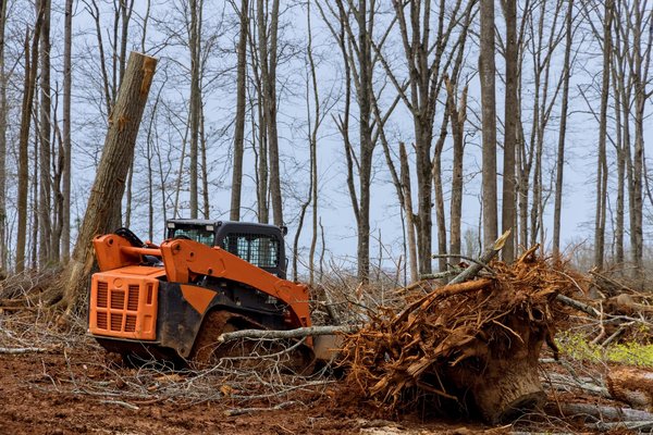 Quelles sont les étapes à suivre pour préparer correctement un terrain avant de construire ?